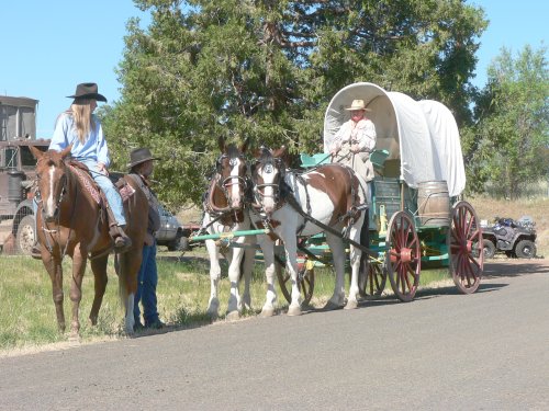 Girl on horse followed by a covered wagon pulled by 2 horses. Wagon Driver is in costume.