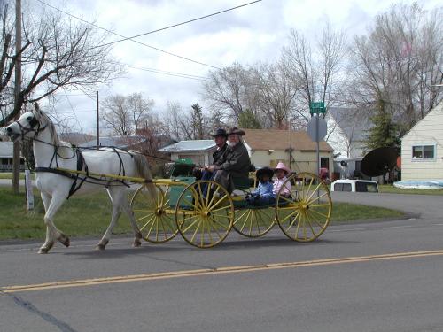 A vewry nice yellow wagon pulled by a smoky grey horse with 2 men in front, 2 kids in back.