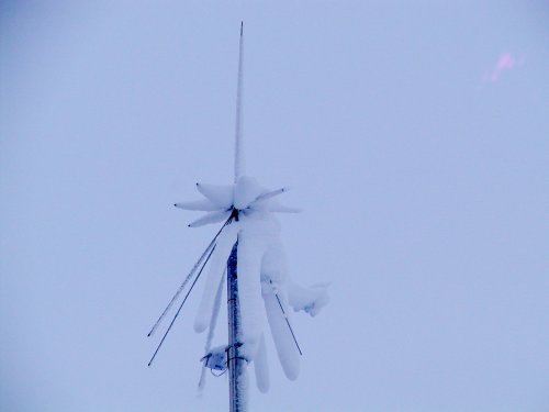 Discone antenna coved with clinging snow