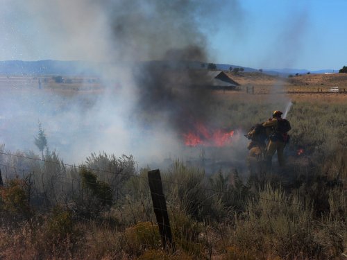 Flames in the grass can be seen near the road.